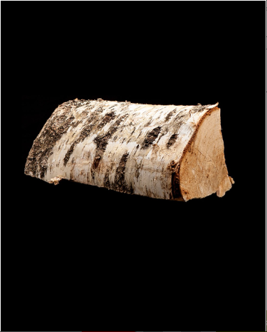 15 Säcke 100 % trockenes Birkenholz, je 8 kg – 25 cm – Bild 3