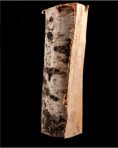 15 Säcke 100 % trockenes Birkenholz, je 8 kg – 25 cm – Bild 2